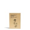Daylesford Organic Nigella Seeds Clearance